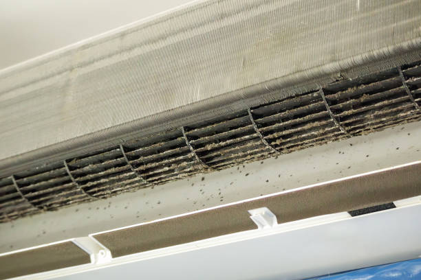 Best Air Duct Inspection  in Wadsworth, OH